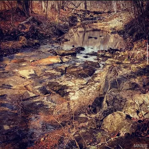 Other - 2139 County Road 101, Ironton, MO 63650 photo 33 of 33