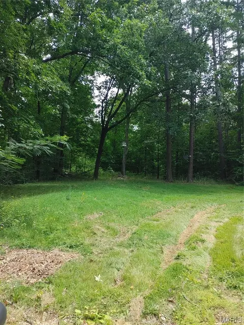 Exterior - 2139 County Road 101, Ironton, MO 63650 photo 6 of 24
