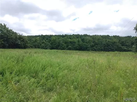 Other - 2139 County Road 101, Ironton, MO 63650 photo 10 of 33