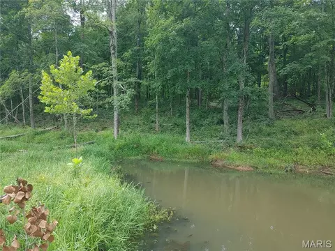 View/Area - 2139 County Road 101, Ironton, MO 63650 photo 10 of 18
