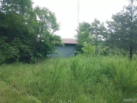 Exterior - 2139 County Road 101, Ironton, MO 63650 photo 9 of 24