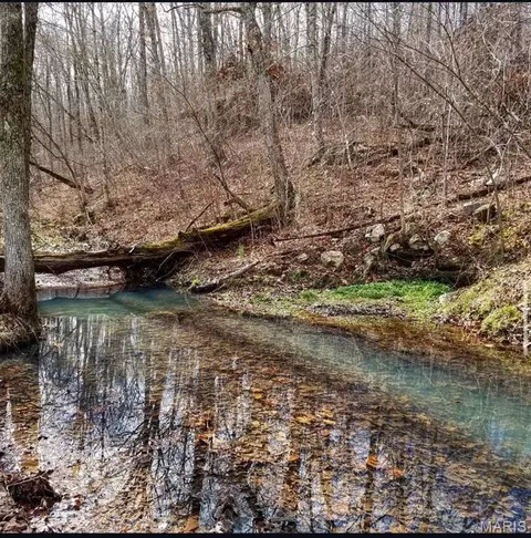 View/Area - 2139 County Road 101, Ironton, MO 63650 photo 17 of 18