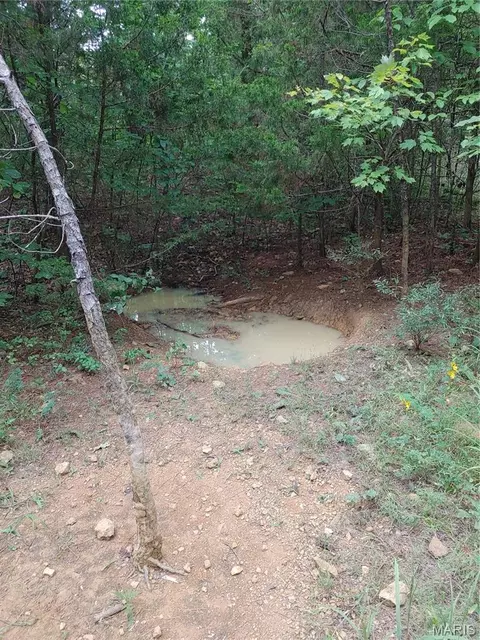 Other - 2139 County Road 101, Ironton, MO 63650 photo 14 of 33