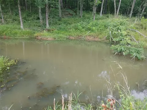 View/Area - 2139 County Road 101, Ironton, MO 63650 photo 8 of 18