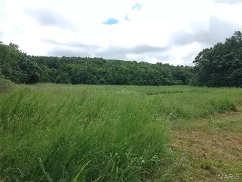 Other - 2139 County Road 101, Ironton, MO 63650 photo 9 of 33