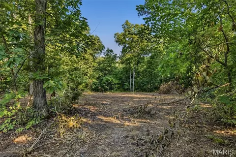 131 Mitchell Ct, Troy, MO 63379 photo 3