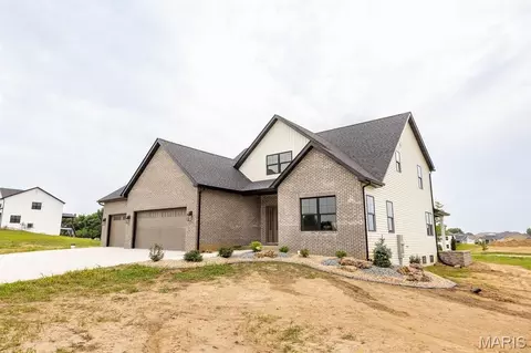 Exterior - 3706 Thicket Dr, Shiloh, IL 62221 photo 6 of 11