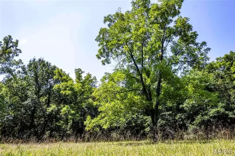Other - 160 Hickory Ln, Eolia, MO 63344 photo 32 of 43