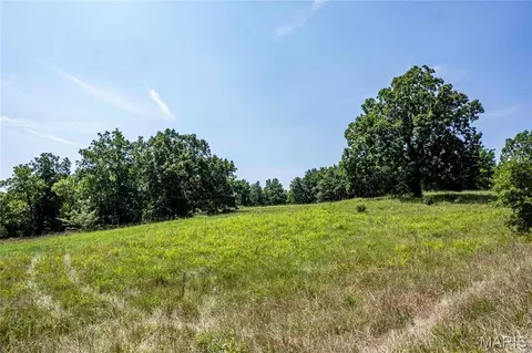 Exterior - 160 Hickory Ln, Eolia, MO 63344 photo 10 of 19