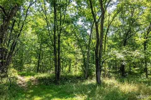Other - 160 Hickory Ln, Eolia, MO 63344 photo 35 of 43