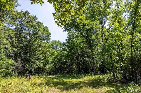 Exterior - 160 Hickory Ln, Eolia, MO 63344 photo 17 of 19