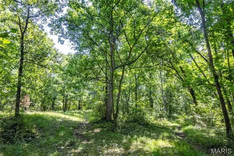 Other - 160 Hickory Ln, Eolia, MO 63344 photo 36 of 43