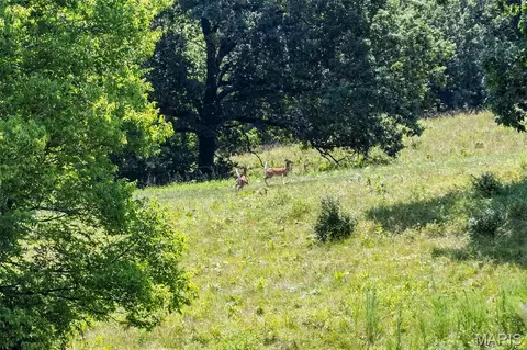 Other - 160 Hickory Ln, Eolia, MO 63344 photo 26 of 43