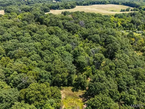 Other - 160 Hickory Ln, Eolia, MO 63344 photo 38 of 43