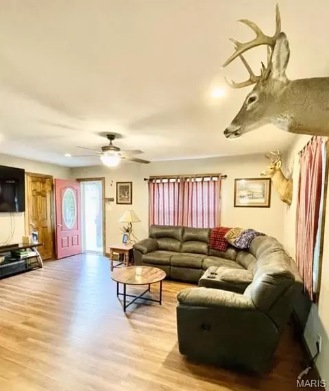 Living - 1007 E 1st St, Salem, MO 65560 photo 1 of 1