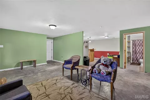 Other - 5972 Highway E, Fredericktown, MO 63645 photo 11 of 20
