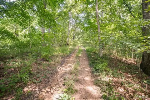 tbd Rust Rd, Bunker Hill, IL 62014 photo 24