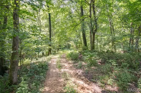 tbd Rust Rd, Bunker Hill, IL 62014 photo 14