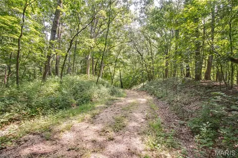 tbd Rust Rd, Bunker Hill, IL 62014 photo 19