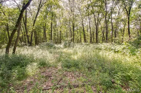 tbd Rust Rd, Bunker Hill, IL 62014 photo 21