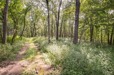 tbd Rust Rd, Bunker Hill, IL 62014 photo 23