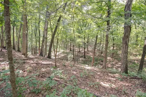 tbd Rust Rd, Bunker Hill, IL 62014 photo 20