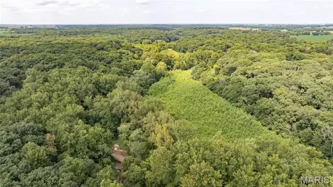tbd Rust Rd, Bunker Hill, IL 62014 photo 7