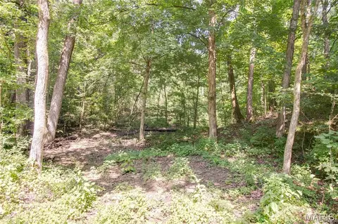 tbd Rust Rd, Bunker Hill, IL 62014 photo 17