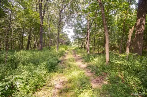 tbd Rust Rd, Bunker Hill, IL 62014 photo 22
