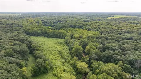 tbd Rust Rd, Bunker Hill, IL 62014 photo 9