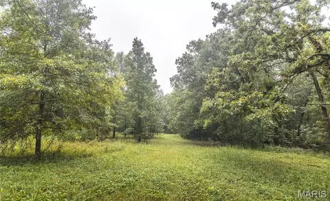 Other - 8578 Lizard Ln, Dittmer, MO 63023 photo 21 of 28