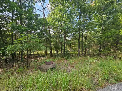 10515 Eagles Nest Dr, Hillsboro, MO 63050