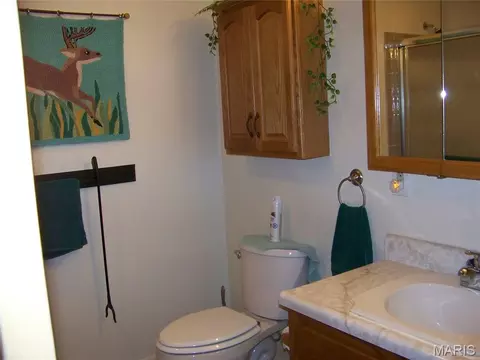 Bath - 13900 Haystack Ln, Dixon, MO 65459 photo 4 of 4