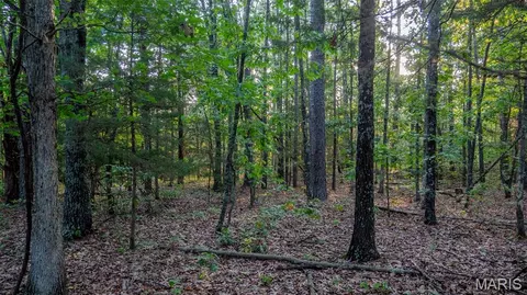 Other - 11620 Slaughter Rd, Licking, MO 65542 photo 26 of 31