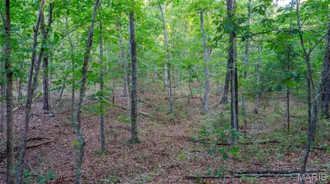 Other - 11620 Slaughter Rd, Licking, MO 65542 photo 9 of 31