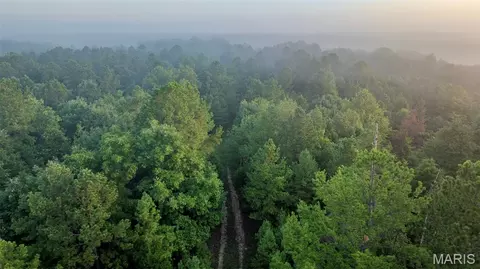 Other - 11620 Slaughter Rd, Licking, MO 65542 photo 21 of 31