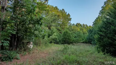 Other - 11620 Slaughter Rd, Licking, MO 65542 photo 15 of 31