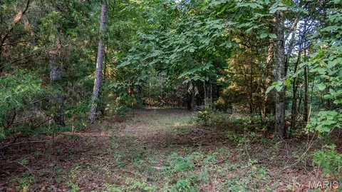 Exterior - 11620 Slaughter Rd, Licking, MO 65542 photo 3 of 3