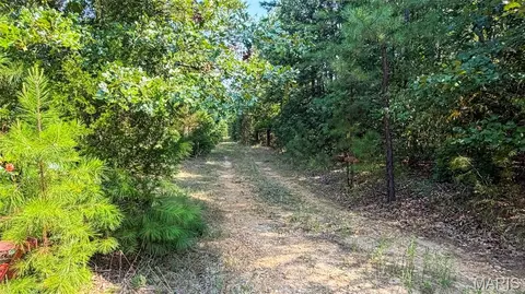 Other - 11620 Slaughter Rd, Licking, MO 65542 photo 2 of 31