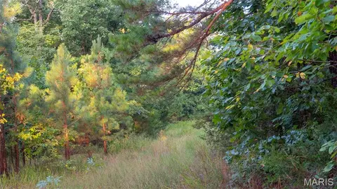 Other - 11620 Slaughter Rd, Licking, MO 65542 photo 25 of 31