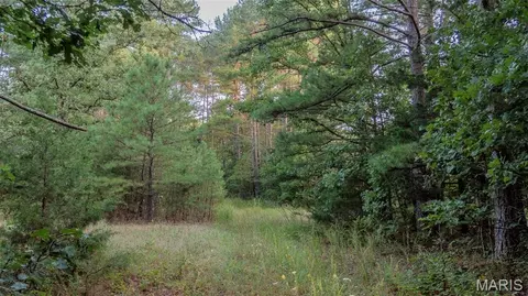 Other - 11620 Slaughter Rd, Licking, MO 65542 photo 13 of 31
