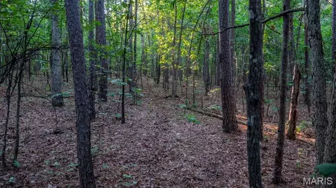 Other - 11620 Slaughter Rd, Licking, MO 65542 photo 7 of 31
