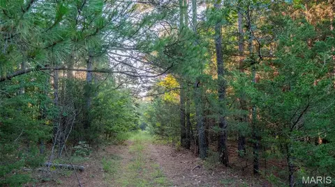 Other - 11620 Slaughter Rd, Licking, MO 65542 photo 27 of 31