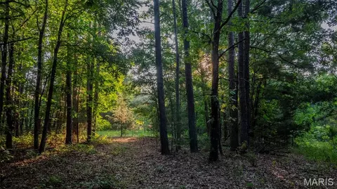 Other - 11620 Slaughter Rd, Licking, MO 65542 photo 11 of 31