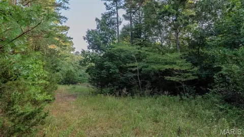 Other - 11620 Slaughter Rd, Licking, MO 65542 photo 14 of 31