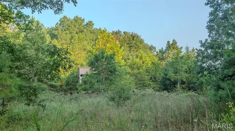 Other - 11620 Slaughter Rd, Licking, MO 65542 photo 12 of 31