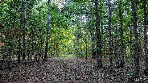 Other - 11620 Slaughter Rd, Licking, MO 65542 photo 10 of 31