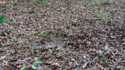 Other - 11620 Slaughter Rd, Licking, MO 65542 photo 29 of 31