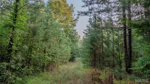 Other - 11620 Slaughter Rd, Licking, MO 65542 photo 22 of 31