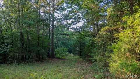 Other - 11620 Slaughter Rd, Licking, MO 65542 photo 28 of 31